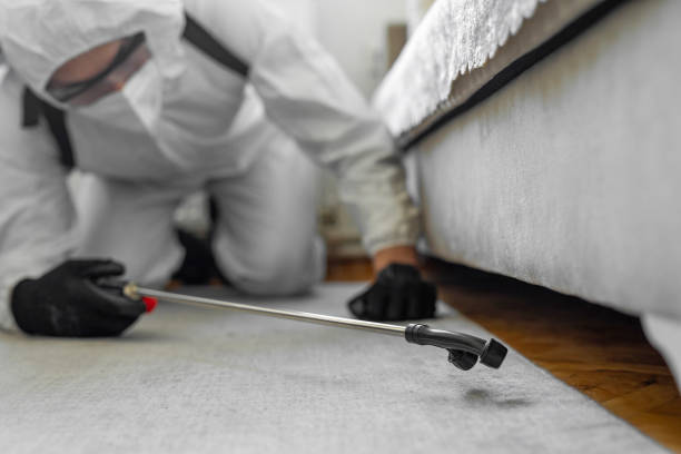 Professional Wasp Control technician working in Tilton Northfield, NH