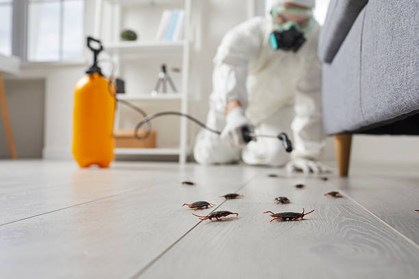 Trusted Cockroach Control service in Tilton Northfield, NH - Nex Pest Control