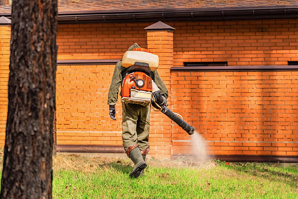 Trusted Rodent Control service in Tilton Northfield, NH - Nex Pest Control